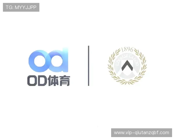 OD体育官网用户体验优化措施提升网站访问速度与操作便捷性 OD体育官网用户体验优化措施提升网站访问速度与操作便捷性