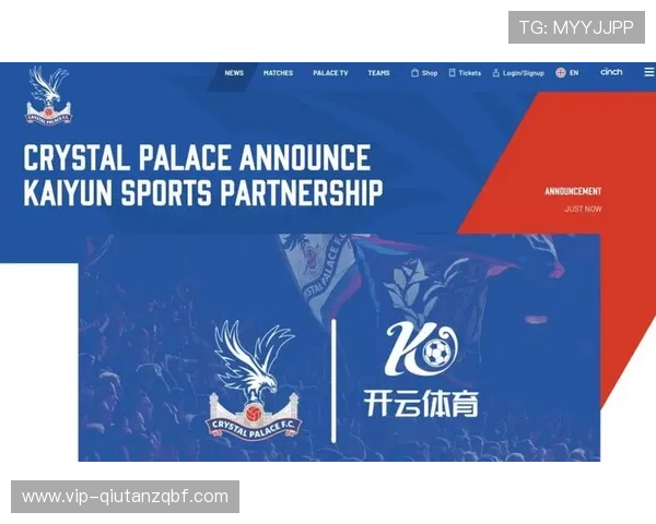 开云体育平台官网积极推动青少年体育发展，打造未来体育人才培养平台