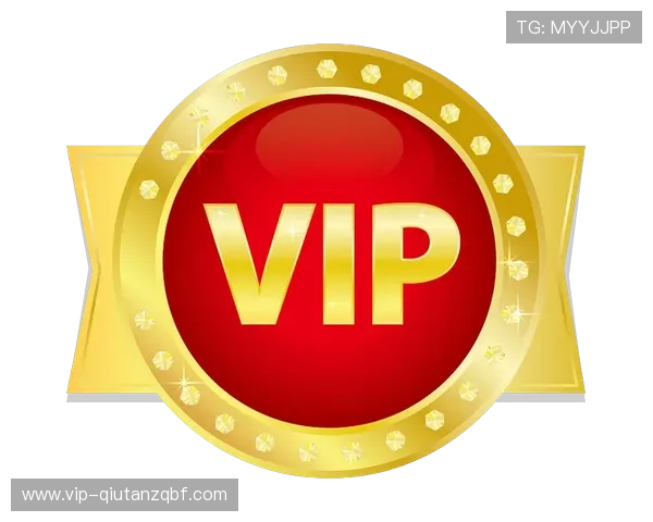 盛世VIP尊享特权,开启尊贵会员的奢华旅程 盛世VIP尊享特权,开启尊贵会员的奢华旅程